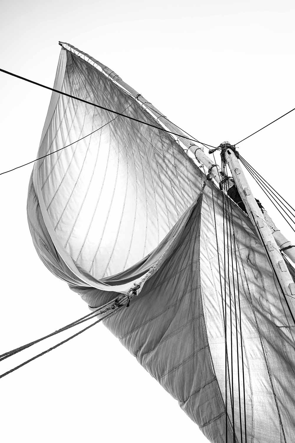Cloth & Wind